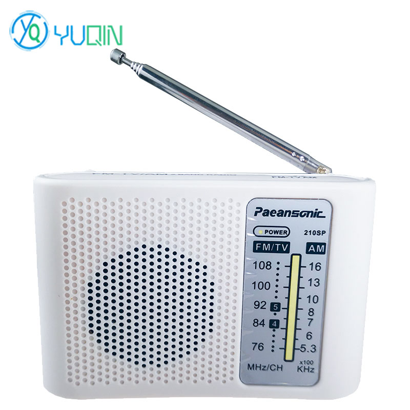 210SP AM/FM Radio Kit DIY Elec - Diy Electronics Projects For Beginners reseña y precio